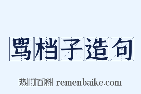 骂档子造句是什么意思的图片